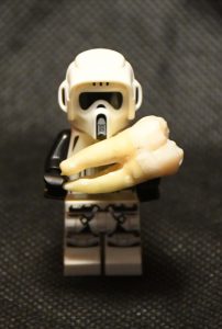 lego scout trooper holding tooth